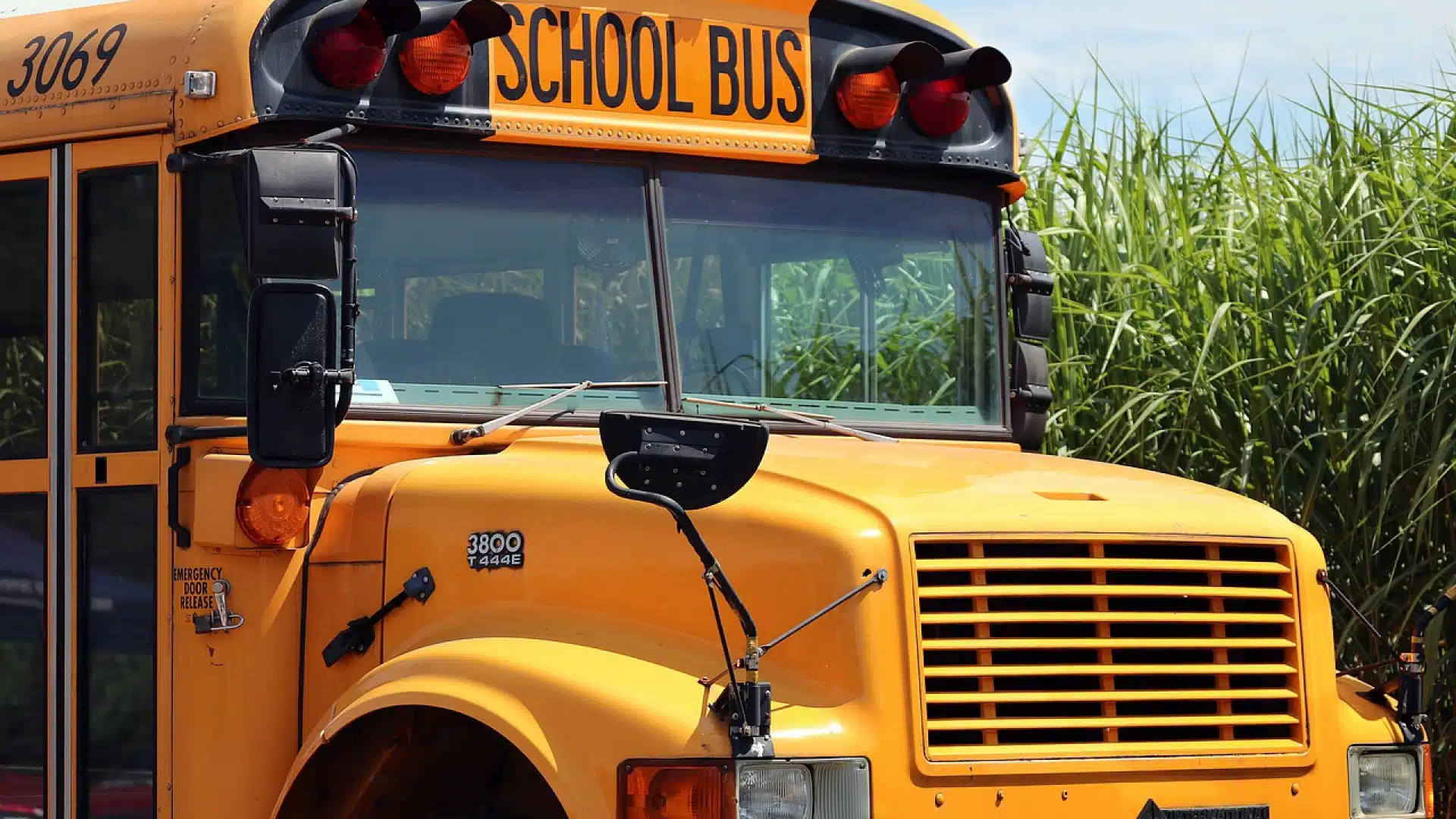 Pourquoi louer un bus scolaire ?